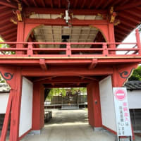 今日は暑かった💦　　(5/22)