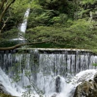 2020夏　神戸布引の滝