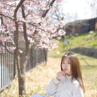 みゃ＠京都-淀-河津桜