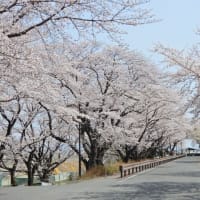 海無し県民の香住～湯村温泉旅