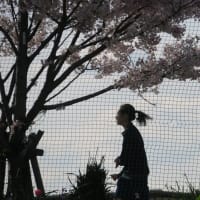 カラスが何で二羽おるのけ～