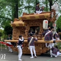 穏やかに。良い一日になりますように