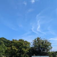 ちびくろサンボのお父さんは😆
