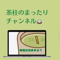 本日の茶柱