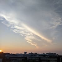 ２０２５・６・２９～７・１雲・アガパンサス・ムクゲ・１輪咲いたコオニユリ