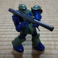 ザク、畳に立つ‼️