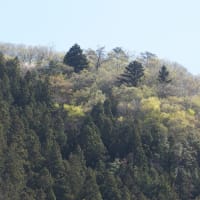 4月21日朝の山