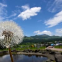 阿蘇山は 雨季なれど夏の予感 😲 
