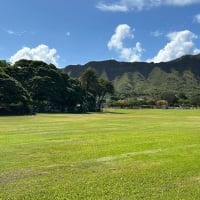ハワイ ワイキキ⑥無料のフラショーとカピオラニ公園