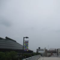 広島市も梅雨入り・・・ジメジメした日が続きますが、今年は雨音と雨の風景を、ゆったりまったり楽しもうと思います