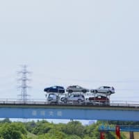 江戸川向かって歩く 3