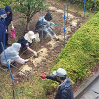 第4回専門ゼミ