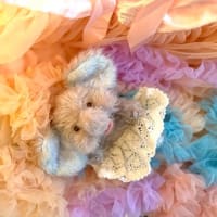 チビチビ象しゃん★お耳のビフォーアフター…ﾆｼﾞｲﾛ💝