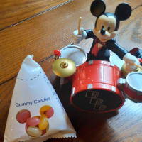 ディズニーシー旅行④