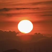 梅雨の晴れ間に...