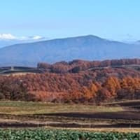 狂った霜月