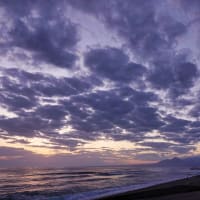 今朝の大山さん　8月13日