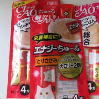 ジジちゃんのもとへ旅立ったミーシャ