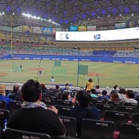 久しぶりの観戦