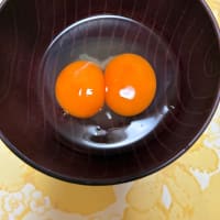 聖書は神さまからのラブレター　5月28日
