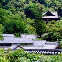 いざいざ奈良-奈良県桜井市：長谷寺