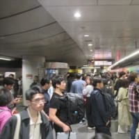 5/30　尾瀬紀行（10完）　鳩待峠～戸倉～新宿～帰宅