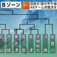 「夏の甲子園高校野球　...」