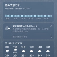 プール：曇小雨16〜24℃