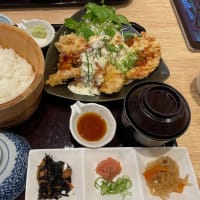 四六時中　チキンタルタル南蛮