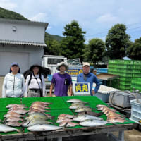 ６月２７日 金曜日