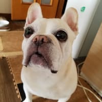 靴返して！
