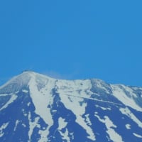 稲田に映る笠雲を被った富士山
