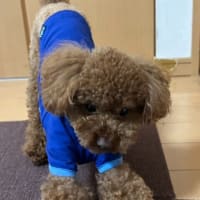 術後5日目！