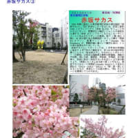 施設案内東京-540  赤坂サカス