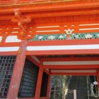 和歌山の紀三井寺に行ってきました！