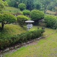 久しぶりの雨！！