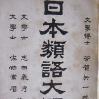 （98）日本類語大辞典