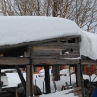 屋根の雪おろしデビュー