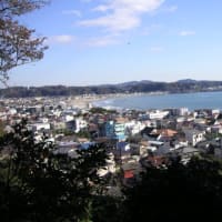 長谷寺