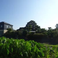 そこからここへ＆たいさんぼく