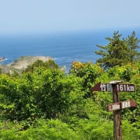2025年5月 隠岐旅行（第３日目）「モーモードーム」の牛突きを見て、島の北部へ（白島海岸とかぶら杉）
