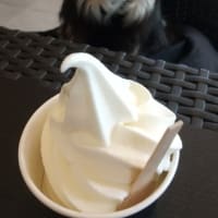 日々の記録