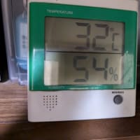 クリンへの想いは尽きなくて・・・291
