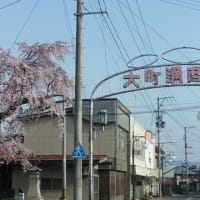 長井まちなか桜回廊のお誘い　山形県長井市