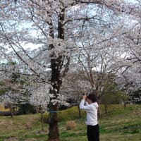 武蔵丘陵森林公園