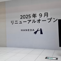 ❤️7/12❤️①羽田空港第1パトロール❤️