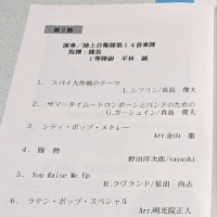義母の眼科のあと自衛隊定期演奏会へ