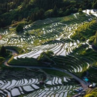 紀和の丸山千枚田へ今年も行ってきました。　GW後半戦その２