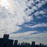 6/7の朝の空