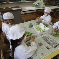 2025.5.29  ベルマークボランティア・そら豆をむきました（２年生）